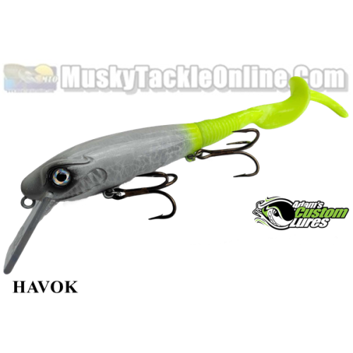Havok_Main-500x500.png